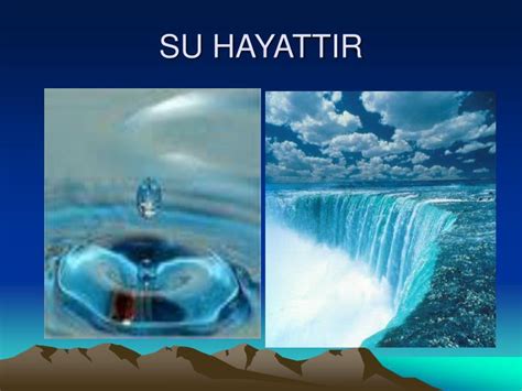 PPT DERS HAYAT B LG S 2 SINIF PowerPoint Presentation ID 3054914