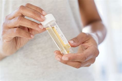 Sweet Smelling Urine Causes Symptoms When To Seek Help