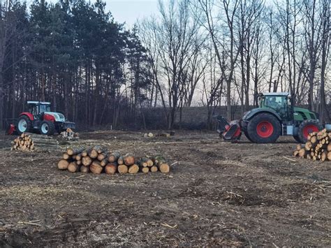 Mulczowanie Wycinka drzew Mulczer Leśny Czyszczenie działek PILAR Środa