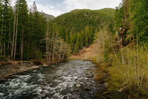 Hike the Staircase Rapids Loop Trail in Olympic National Park · Anna Tee