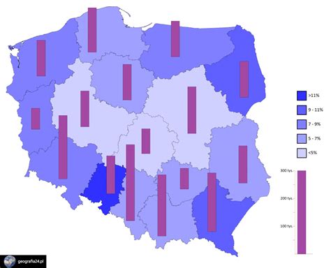 Migracje Zagraniczne W Polsce Geografia Pl