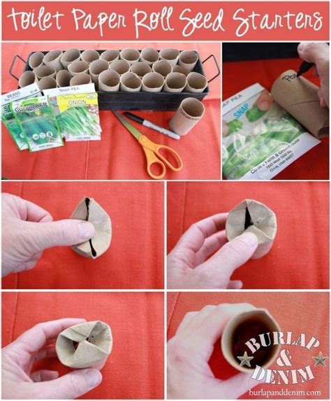 Toilet Paper Roll Seed Starters Seed Starters Vegetable Garden