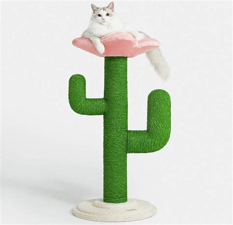 7 Cactus Cat Scratchers And Cat Trees For Southwestern Flair Vetstreet Vetstreet