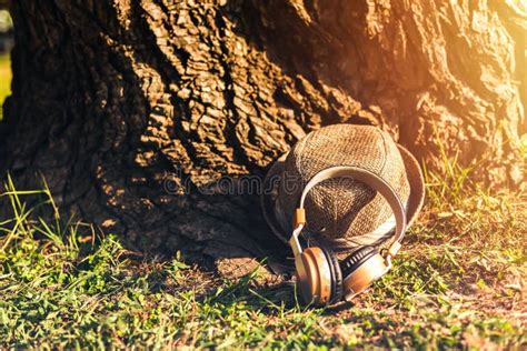 Headphone Are On The Ground And Near Big Tree Stock Photo Image Of