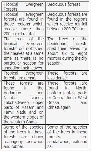 Differentiate Between Tropical Evergreen Forests And Deciduous Forests