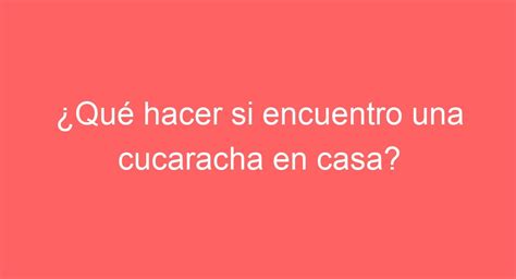 Encuentras una CUCARACHA en casa Soluciones RÁPIDAS y efectivas