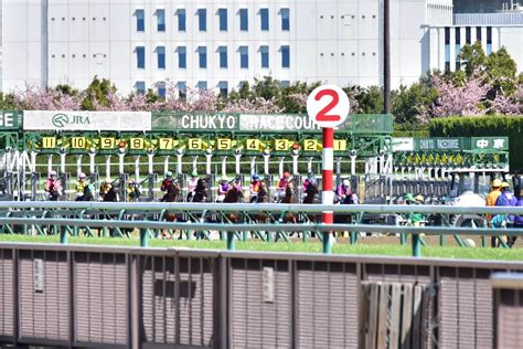 Jra「超異例」デビュー半年前に“去勢”した珍名馬が「144戦0勝」舞台でメイクデビュー、3冠馬オルフェーヴル撃破“名セン馬”の再来はあるか