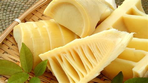 bamboo shoots study reveals superfood potential  health benefits