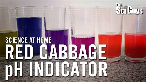 The Sci Guys Science At Home Se2 Ep4 Red Cabbage Ph Indicator Acid Base Indicator Youtube