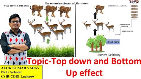 Top Down And Bottom Up Effect For Community And PYQ Of CSIR NET JRF