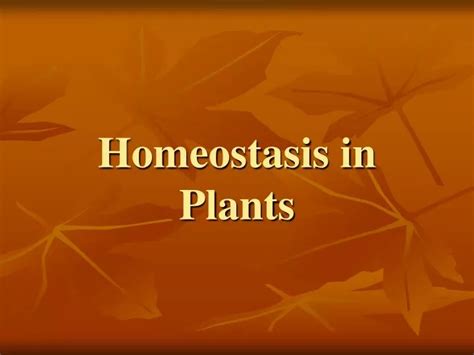 PPT - Homeostasis in Plants PowerPoint Presentation - ID:6045211