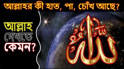 আল্লাহ দেখতে কেমন What Does Allah Look Like আল্লাহর কি হাত পা চোঁখ আছে Islam Nazat