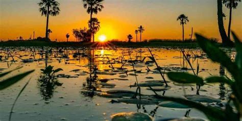 Corrientes Es La Primera Provincia En Habilitar El Ingreso A Turistas