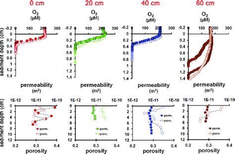 A Biogeochemical Profiles Of The November Sampling Transect At Brian