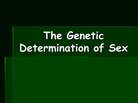 The Genetic Determination Of Sex Ppt Download