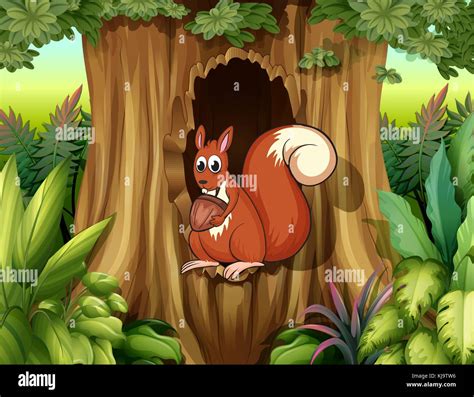 Squirrel Nut Eating Home Stock Vector Images Alamy