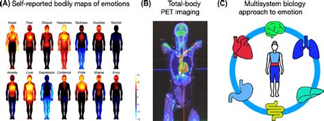 Mapping Emotions On The Body