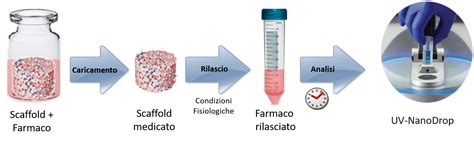 Smart biomaterials for controlled drug-release - CNR-ISSMC 