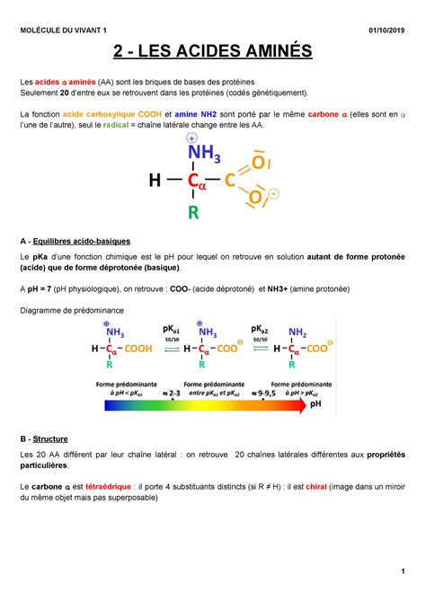 Acides aminés L1 SDV S1 2 LES ACIDES AMINÉS Les acides aminés