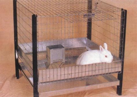 HD Animals: indoor rabbit cages