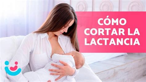 Pastillas sin receta para cortar la leche adiós a la incomodidad 2024