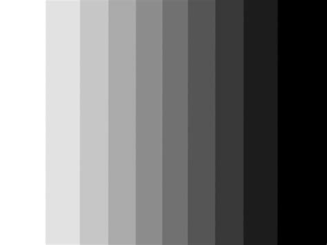 Light Grey Color Schemes