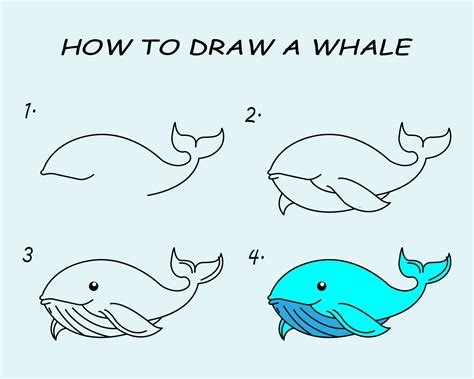 Paso Por Paso A Dibujar Un Ballena Dibujo Tutorial Un Ballena Dibujo