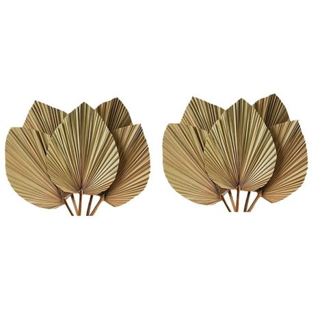 Dried Palm Leaves Room Decor 10 Pieces - 18Inch H X 10Inch W Natural ...