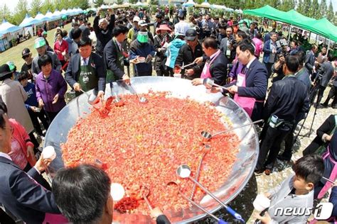 함안군 함안아라문화제 ·수박축제 취소 네이트 뉴스