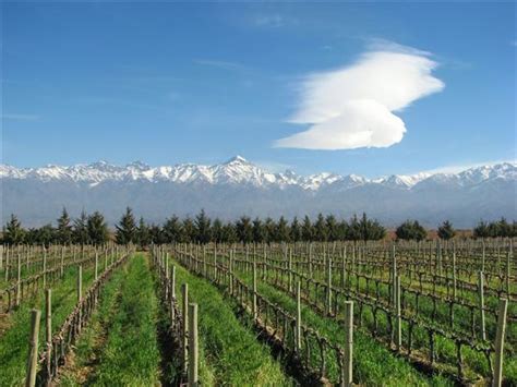 Enoturismo en Latinoamérica Ruta del vino en Mendoza CataDelVino