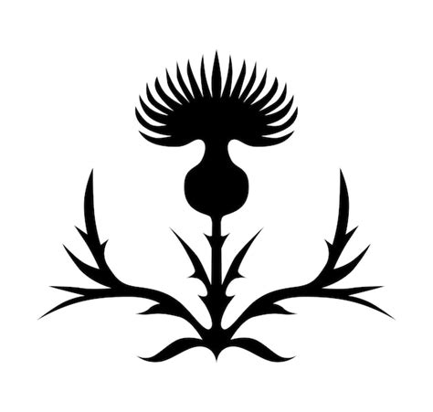 Premium Vector | Thistle flower beautiful silhouette of the symbol of scotland thistle logo