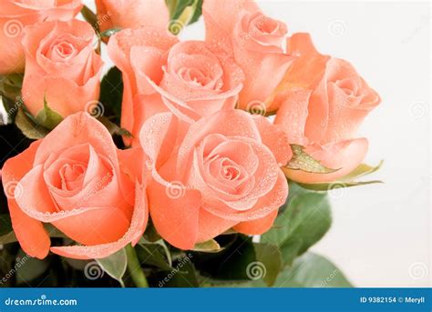 Bunch Of Rose Flowers Stock Images Image 9382154