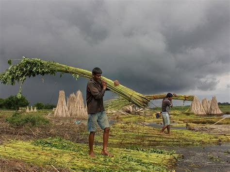 Monsoon Likely To Hit Indian Coast Around Monday Says Weather Office Current Affairs News