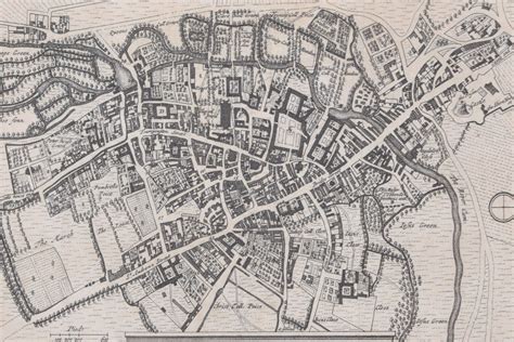 Map Of Cambridge Print By Peter Van Der Aa After David Loggan