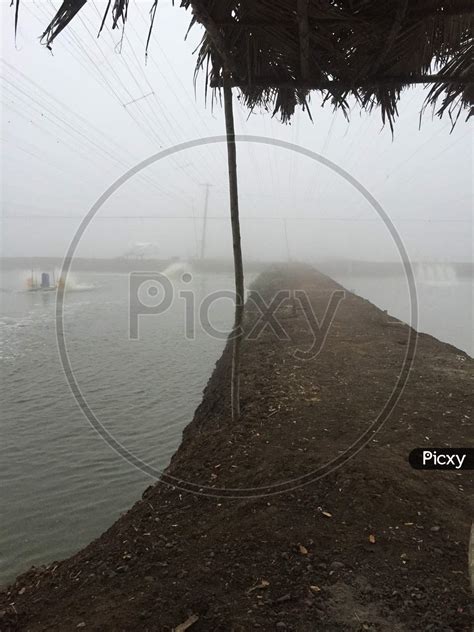 Image Of Winter Misty Foggy Early Mornings In An Aquaculture Farm