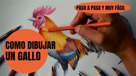 Cómo Dibujar Un Gallo Realista Paso a Paso Muy fácil YouTube