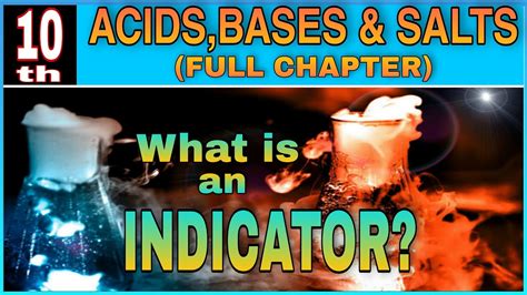 Acids Bases And Salts Class 10 Chemistry Indicators Excelnsee Youtube