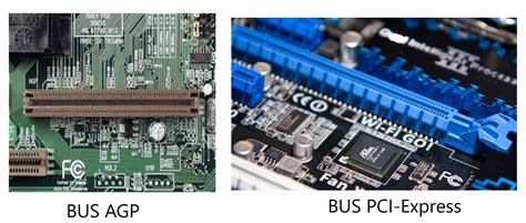 Bus AGP Y Bus PCI Express Jesgargardon