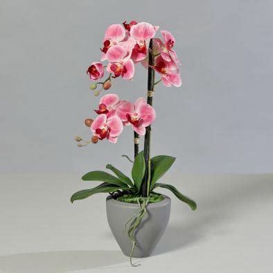 Orchidee Rosa Im Grauen Keramiktopf Ca Cm Kunstblumen Pflanzen