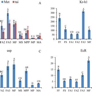 Relative Quantification Of The Gene Expression Levels Of Five