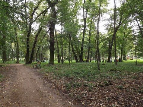 Pozyskali kolejne środki na park dworski w Ludomach Oborniki Nasze Miasto