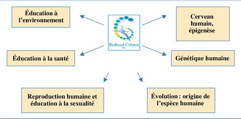 Analyse Didactique Des Manuels Scolaires