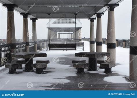 2018 Snowstorm in Charleston, SC Editorial Photo - Image of covered ...