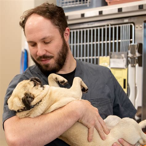 Veterinary Cardiology by BluePearl Southfield MI