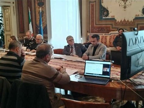 Oltre Mila Cinghiali Sul Territorio Regionale Riunione In Prefettura