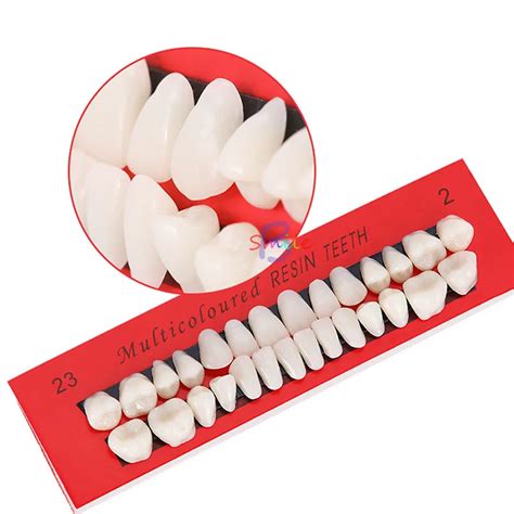 P S Caixa Modelo De Dentadura Dental Substituir Dentes Adultos