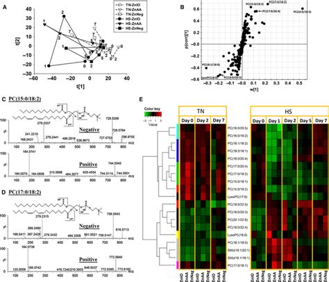 Metabolomic Analysis Of Serum Lipid Profiles During Week Hs And Zn