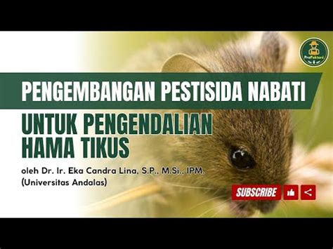 Pengembangan Pestisida Nabati Untuk Pengendalian Hama Tikus Oleh Dr