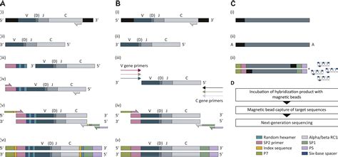 Tcr Sequencing Applications In Immuno Oncology Research Immuno Oncology And Technology