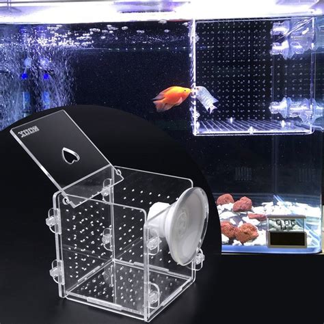 Acuario Pecera Cubo Peceras